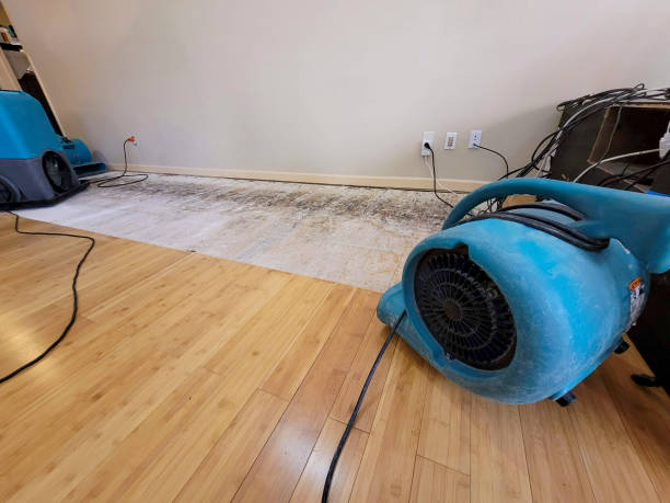 Professional Flood Damage Cleanup technician working in Fairfield, NC